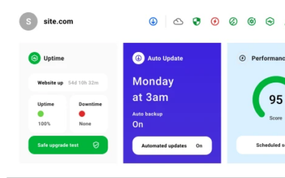 The #1 Ultimate Guide to Website Uptime and Why It Matters