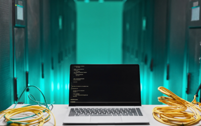 Why Secure Hosting Matters for Your Business Website