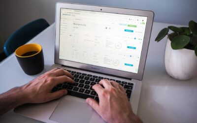 How to Make SEO Work in a Louisiana Winter Slump