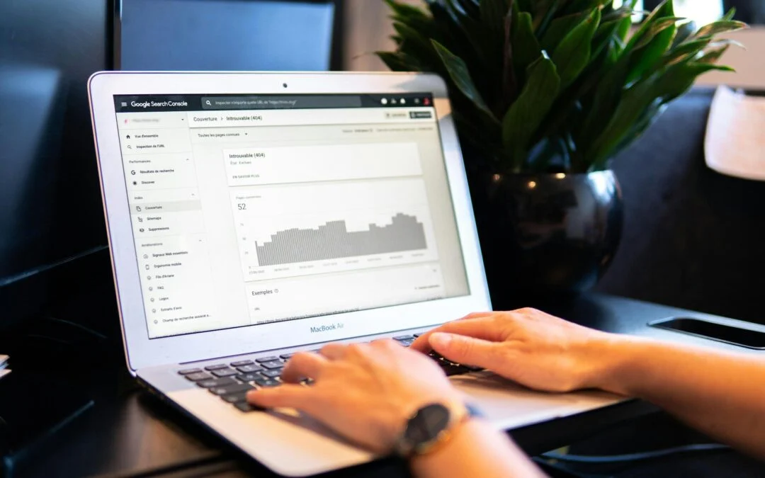 Questioning AI Search: Do You Still Need SEO Services?