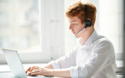 Revenue-Protecting Website Support: a Downtime