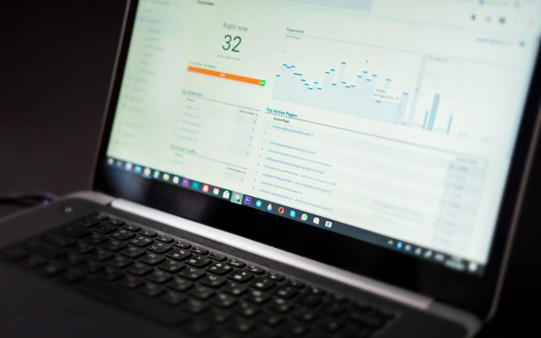 Portfolio Proof: Real Client Results from a Lafayette WordPress Agency